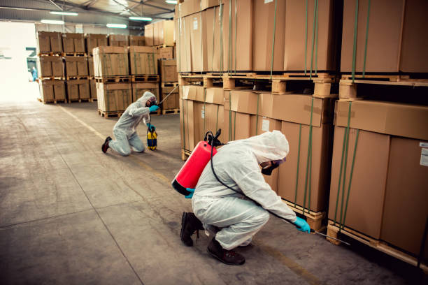Best Pest Control Near Me in Auburndale, FL