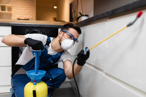 Pest Control for Restaurants in Auburndale, FL