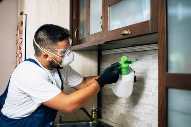 Best Residential Pest Control  in Auburndale, FL