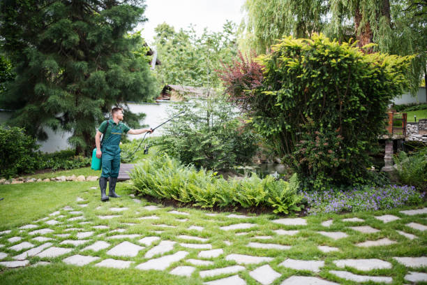 Professional Pest Control in Auburndale, FL