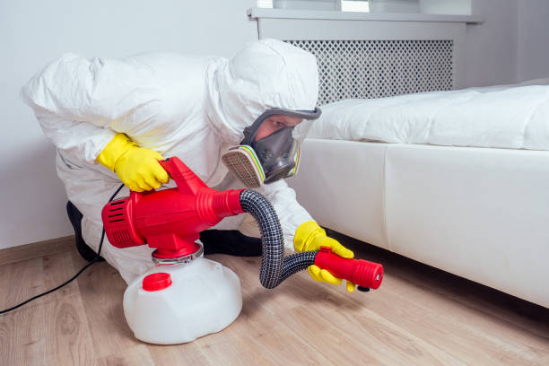 Best Mosquito Control Services  in Auburndale, FL