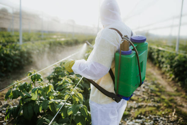 Best Exterminator Services  in Auburndale, FL